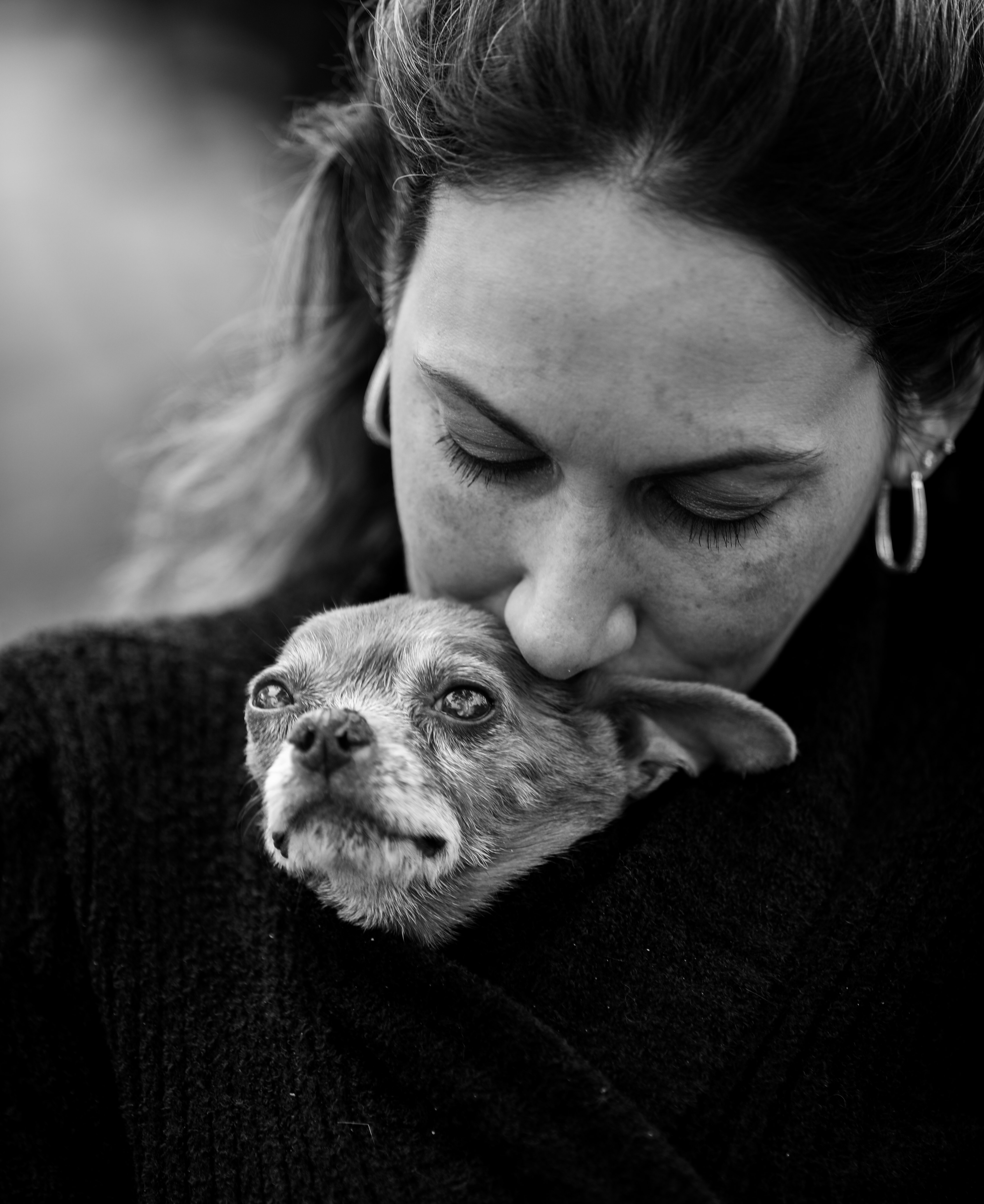 يلتقط مصور نهاية حياته صورًا لحيوانات أليفة تحتضر مجانًا لمساعدة أصحاب الحيوانات الأليفة في حزنهم