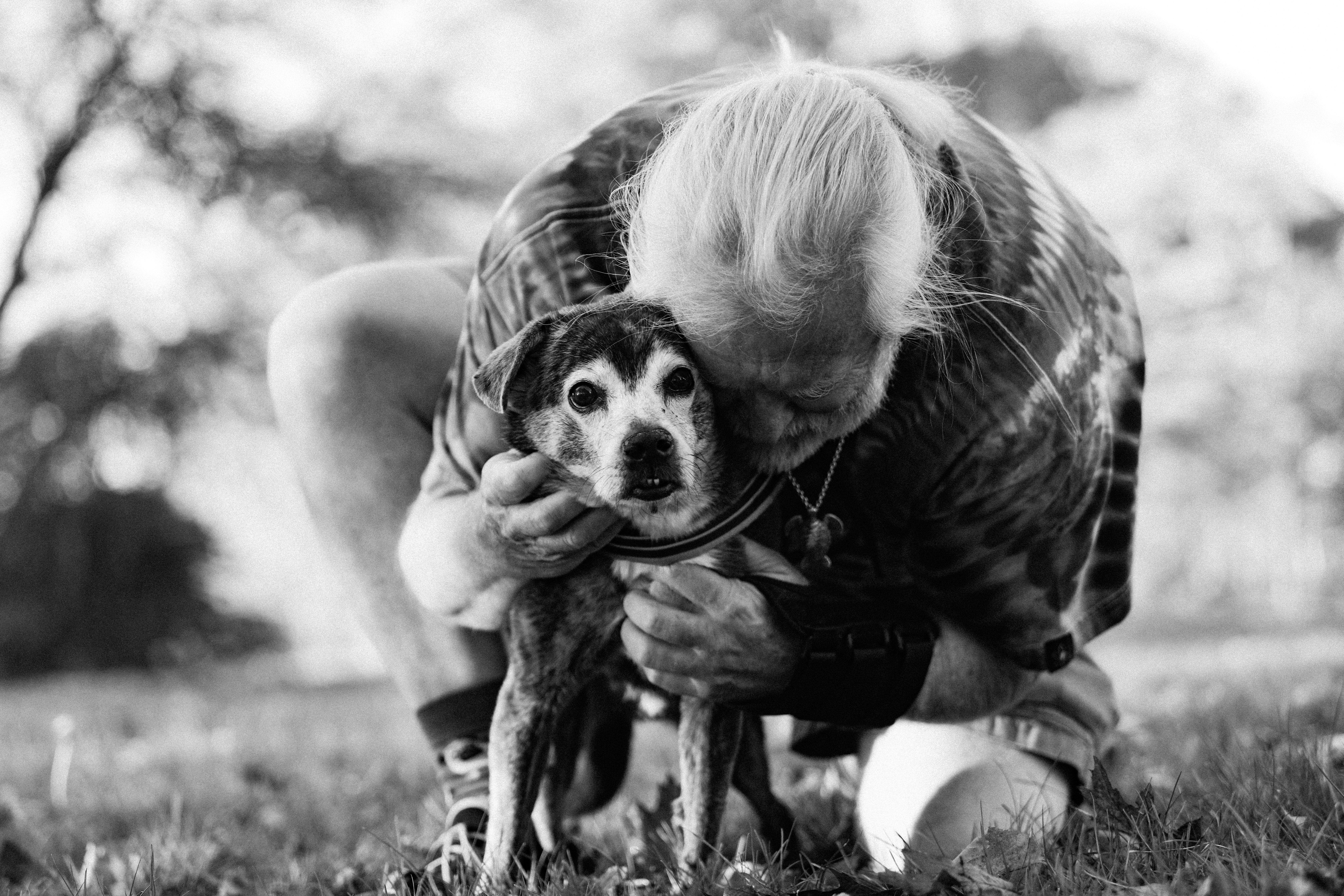 يلتقط مصور نهاية حياته صورًا لحيوانات أليفة تحتضر مجانًا لمساعدة أصحاب الحيوانات الأليفة في حزنهم
