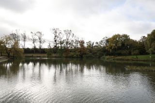 صورة لبحيرة تصطف على جانبيها الأشجار