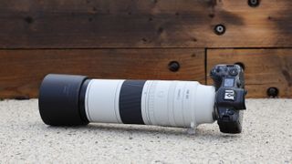 عدسة Canon RF 200-800mm f/6.3-9 IS USM على كاميرا Canon EOS R5 على سطح خرساني
