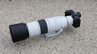 عدسة Canon RF 200-800mm f/6.3-9 IS USM على كاميرا Canon EOS R5 على سطح خرساني