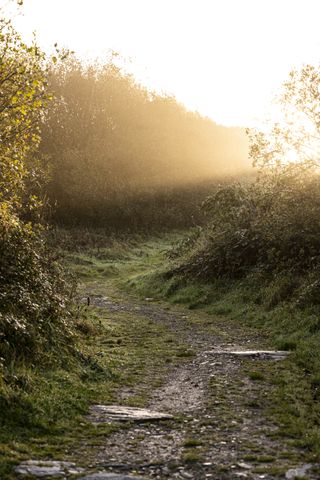 طريق يؤدي إلى شعاع من ضوء الشمس تم التقاطه في الصباح الباكر باستخدام كاميرا Leica مقاس 90 مم APO Summicron-SL f/2 ASPH